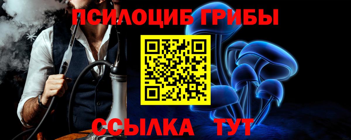 Псилоцибиновые грибы Psilocybe Мариинск