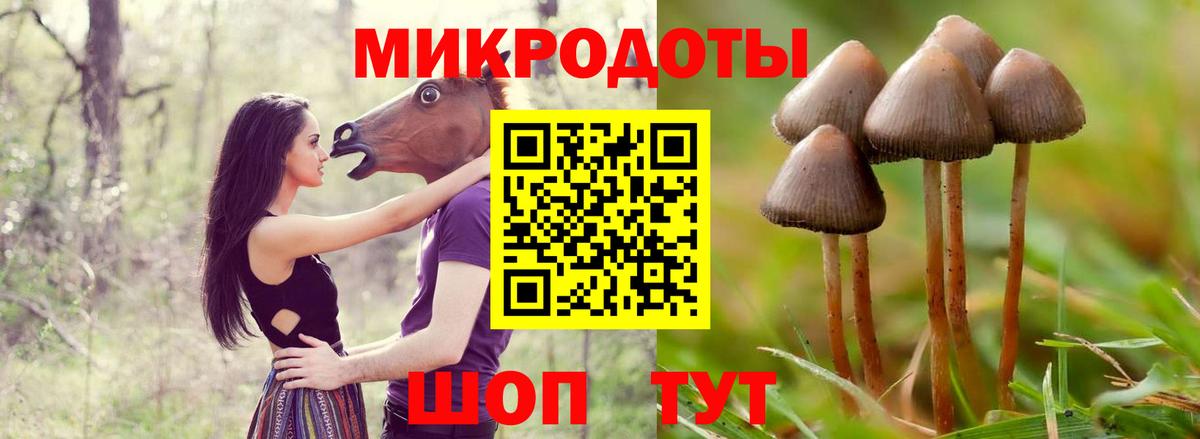Псилоцибиновые грибы Psilocybine cubensis  Вход с VPN  Мариинск  где можно купить наркотик  Псилоцибиновые грибы Magic Shrooms 